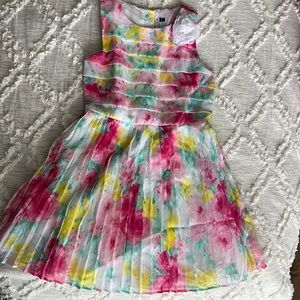 Janie and Jack Dress